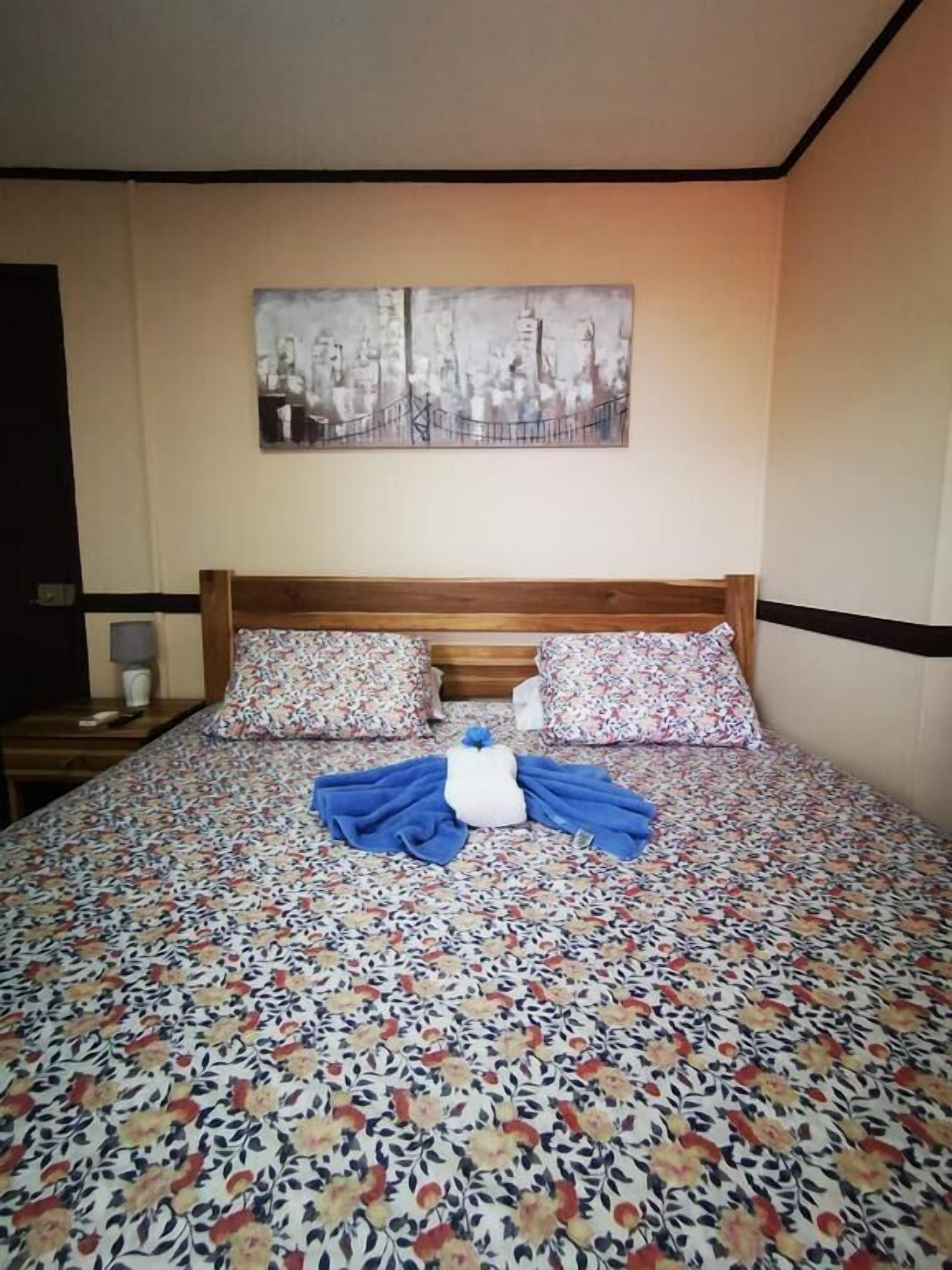 Photo - Toucan Hostel