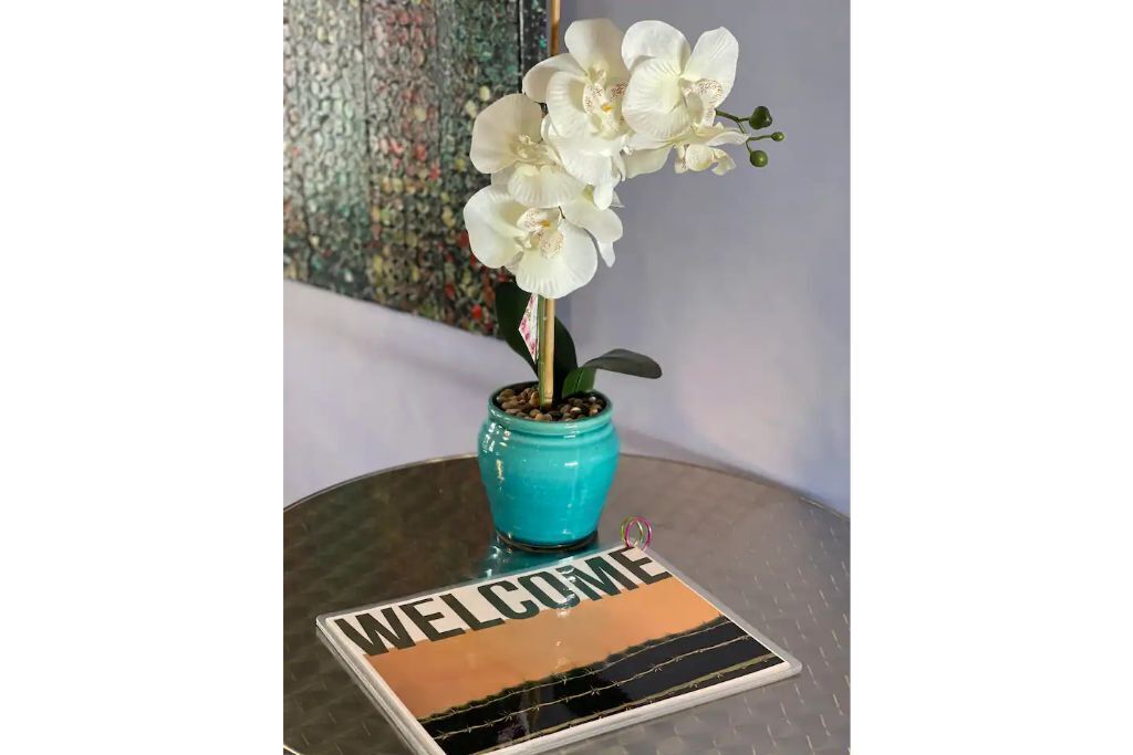 Amazing 4br Art House With Pool Near AZ Cardinals