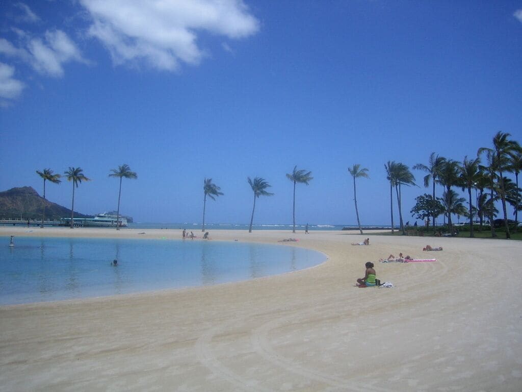 A beach with palm trees, a clear sky, and a calm sea.