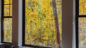 Une pièce dotée d’une grande fenêtre donnant sur une forêt aux couleurs automnales. On y trouve un canapé de couleur sombre agrémenté de coussins.