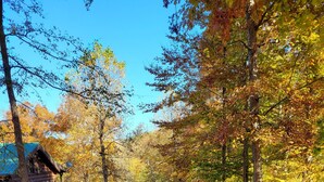 A pathway leading to a rustic cabin surrounded by autumn foliage.