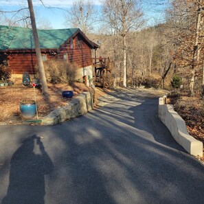 Exterior - Roomy entire private lower level of log cabin on Green River, 6 min to TIEC.  (Rutherfordton)