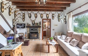 TV, fireplace, table tennis