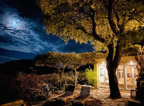Terrace/patio - Luxurious Mas with Bassin Balnéo Sea View in Collioure 12 pers (Collioure)