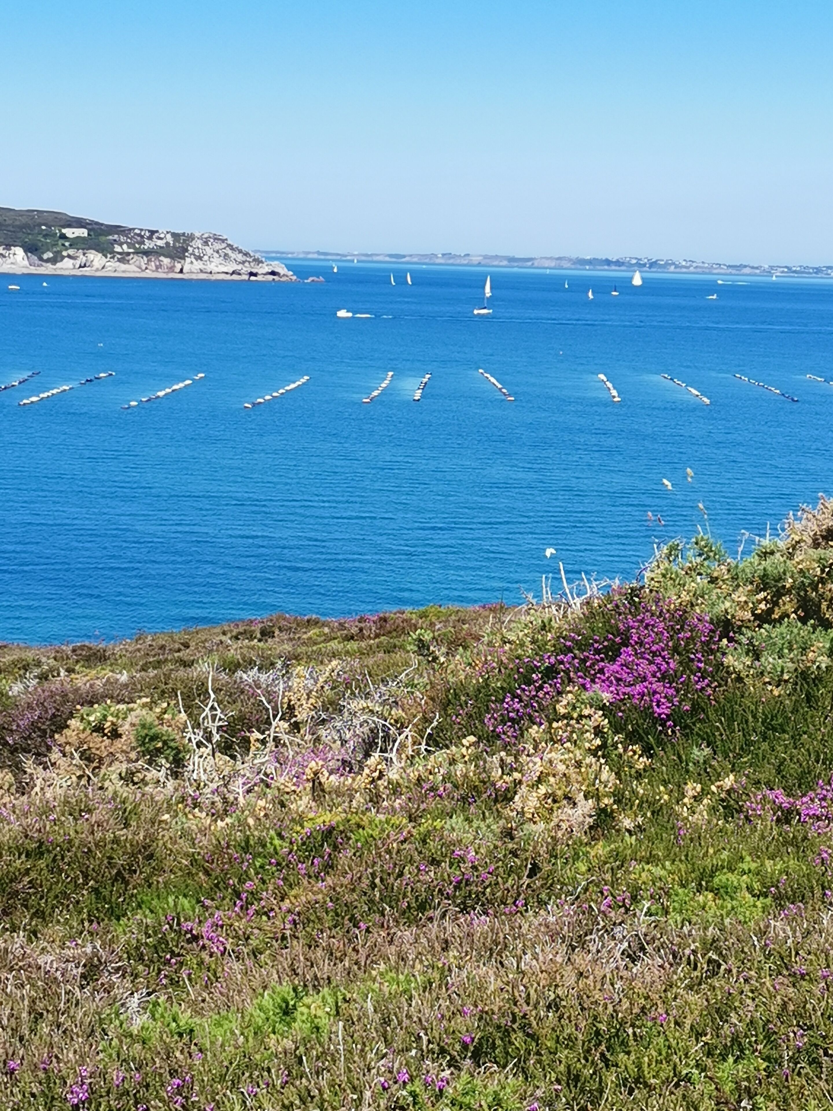 A coastal landscape with a clear view of the sea, boats, and a hilly terrain with vegetation.