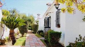 Un camino que lleva a un edificio blanco con una reja negra, rodeado de follaje y una palmera.