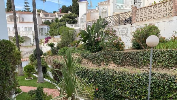 Un giardino curato con un vialetto, palme e un recinto bianco.