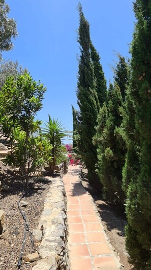 A stone pathway flanked by various trees and shrubs, leading towards a distant point.