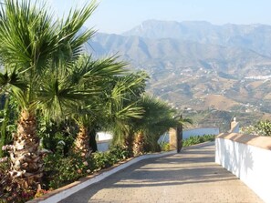 A paved pathway lined with palm trees and flowering plants, leading to a building with a view of distant mountains. - SHR018 Villa El Castillo (Torrox)