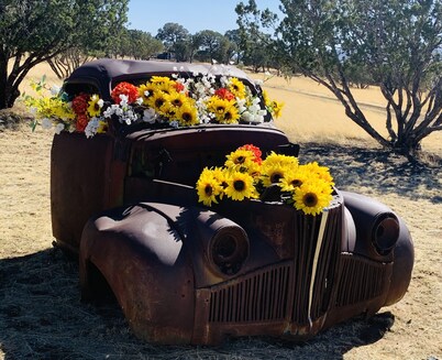 Capitan Mountain Cabin