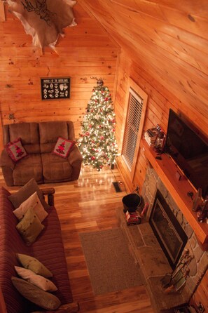 Smart TV, fireplace, video games, books