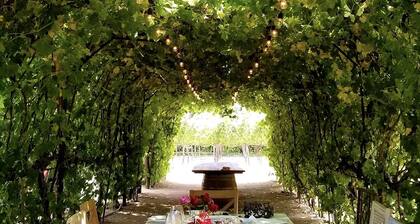 Large poolside King suite with private entrance-Villa Riposo Winery