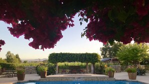 Ein Poolbereich mit einer Pergola, Sitzgelegenheiten und Pflanzen in Töpfen.