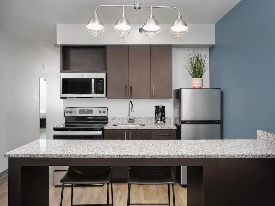 Full-sized fridge, microwave, oven, stovetop