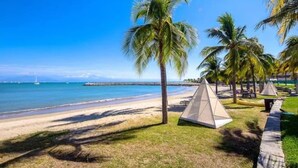 A beach with palm trees and a clear sky.
