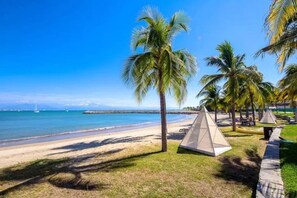 Une plage bordée de palmiers, sous un ciel dégagé.