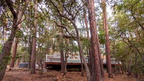 Een chalet in een bos met een terras en een overdekt gedeelte.