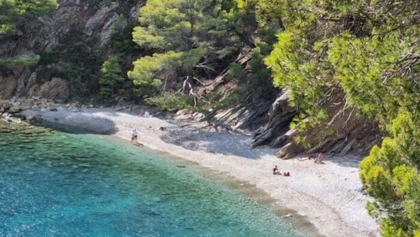 A beach with clear turquoise water, rocky cliffs, and dense green foliage. - Roses with sea views, Canyelles Brava beach, AV-10 (Rosas / Roses)