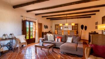 电视、壁炉、DVD 播放器