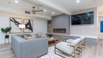 Smart TV, fireplace, books