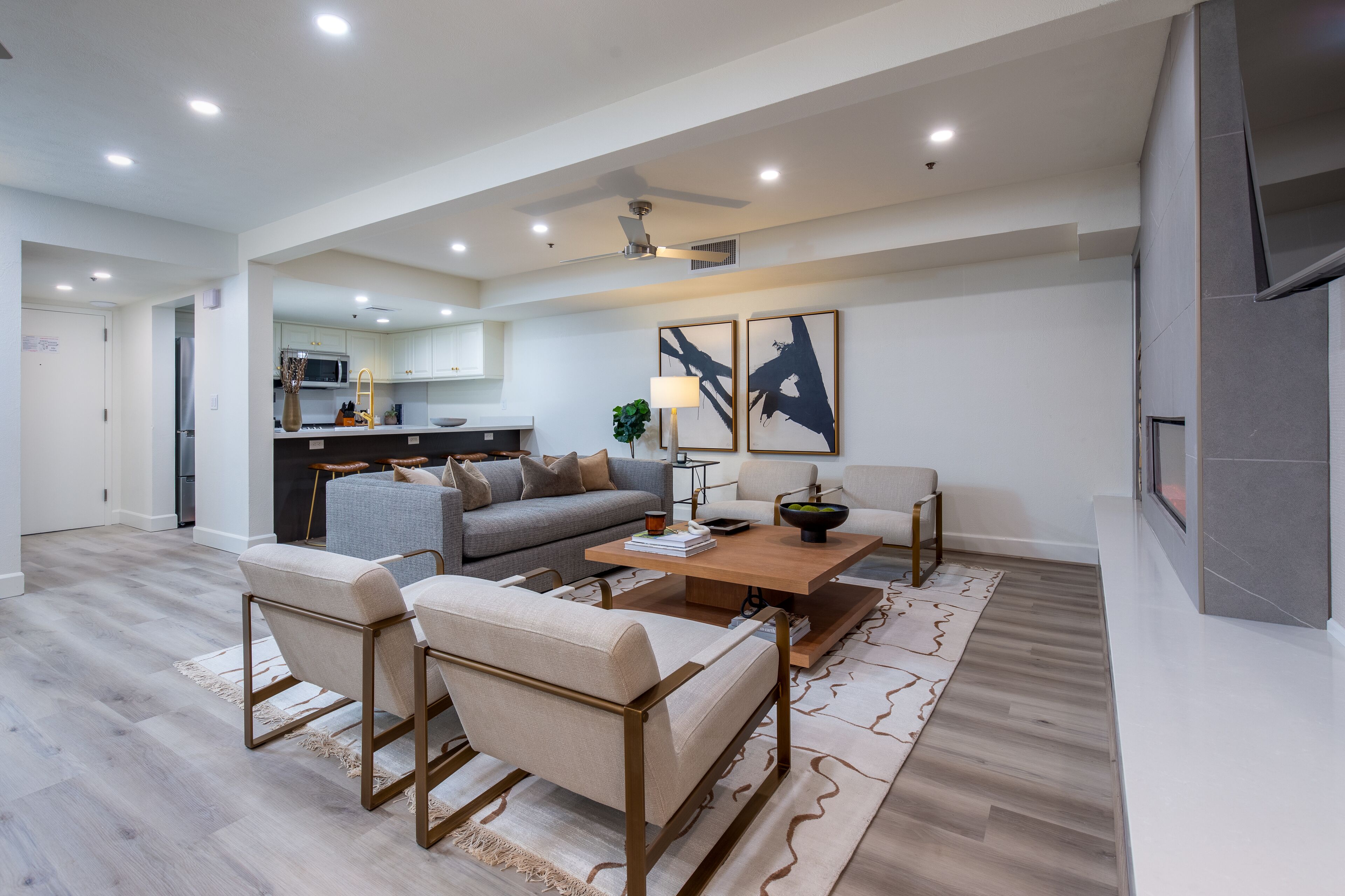 Smart TV, fireplace, books