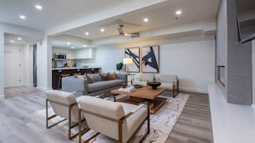 Smart TV, fireplace, books