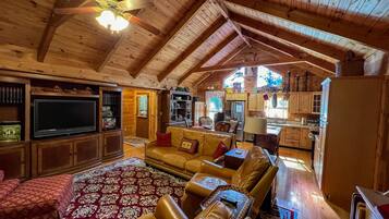 Smart TV, fireplace, books