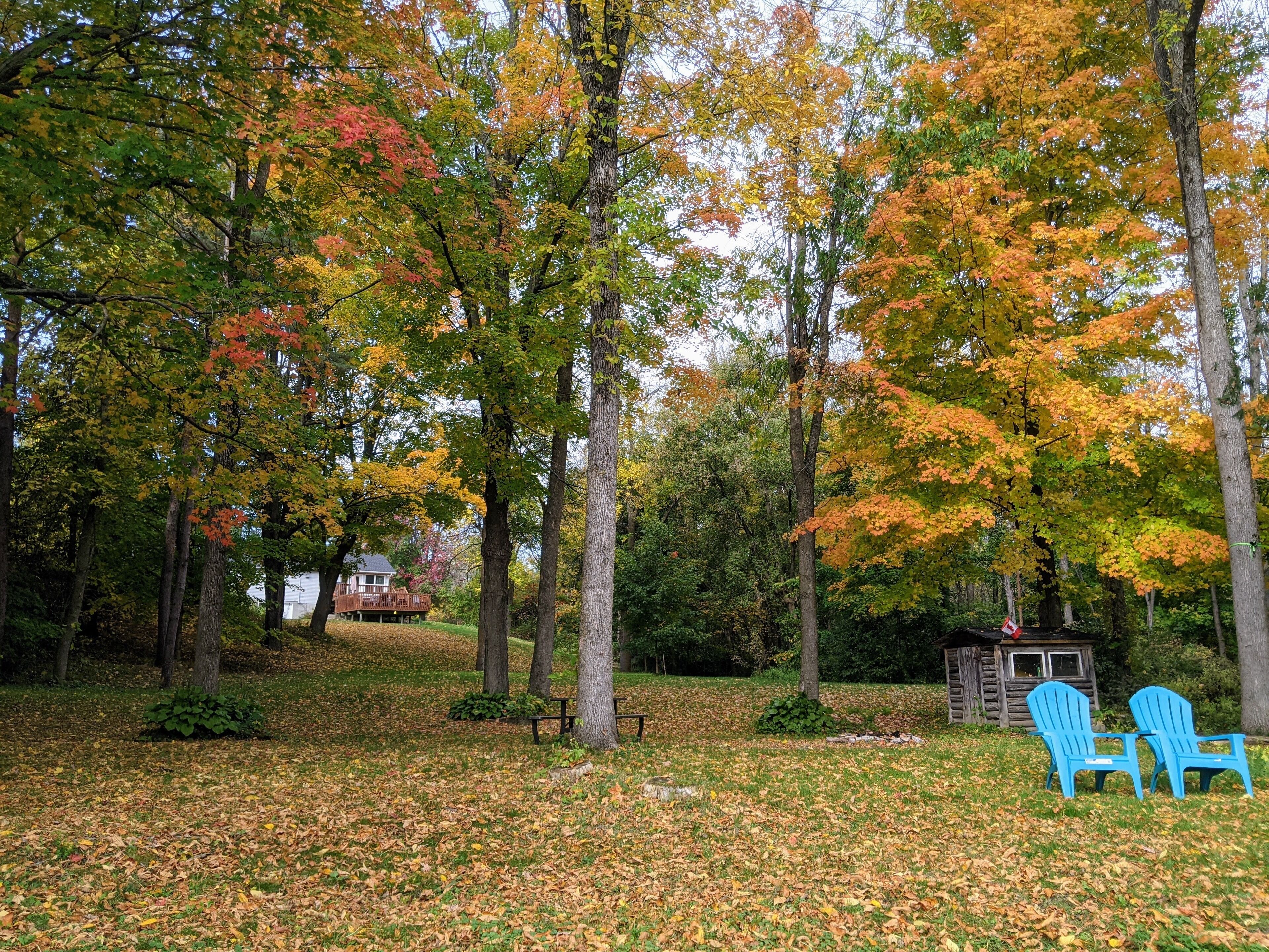 Historic Rideau Canal Cottage by the Locks (Nest by the Locks)