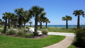 A paved pathway leading to a beach with palm trees and a clear blue sky. - Guest Favorite ~ Newly Renovated ~ 18th Floor Direct Ocean + SkyWheel Views (Myrtle Beach)