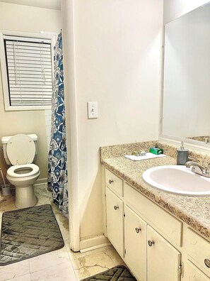 A bathroom with a toilet, sink, and mirror. - Beautiful back yard- 2 Bedroom house in Clarkston (Clarkston)