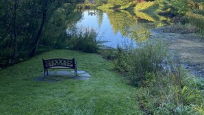 A bench by a calm lake surrounded by lush greenery. - Forest Chalet Just 5 min to Mt Orford Avail August - December 2026 (Orford)