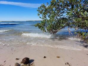 Serviettes de plage