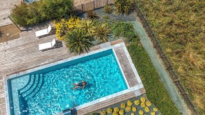 Vista aérea de una piscina rectangular con muelle de madera que la rodea, delimitada por una cerca de malla metálica y diversas plantas.