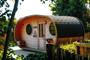 Una cabaña de madera con techo curvo, dos ventanas y una puerta.