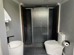 Secador de cabelo, toalhas de banho, sabonete, shampoo