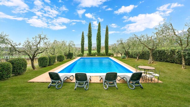 A rectangular swimming pool with a clear blue water surface, surrounded by a well-maintained lawn and a row of six lounge chairs facing the pool. - Pet friendly home in Cetona (Cetona)