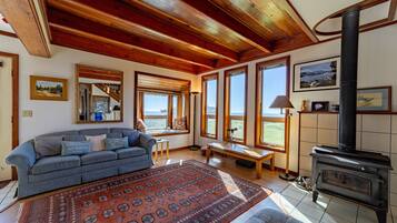 Télévision, cheminée, livres, chaîne hi-fi