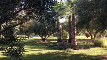 Jardines del alojamiento