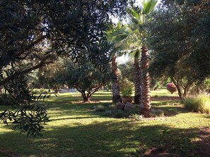 Jardines del alojamiento