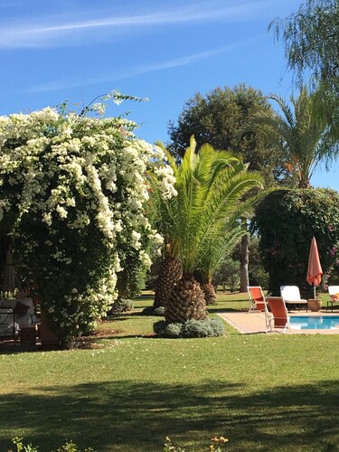 Small charming villa