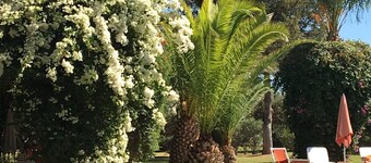 Small charming villa