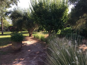 Jardines del alojamiento