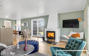 Fernseher, Kamin
