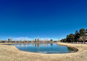 Cielo azzurro limpido sopra un grande stagno calmo, circondato da erba secca e pochi alberi.