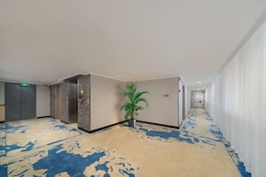 A hotel hallway with a carpeted floor, a potted plant, and a door on the left.