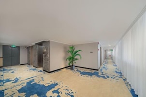 Un pasillo de hotel con piso alfombrado, una planta en maceta y una puerta a la izquierda.