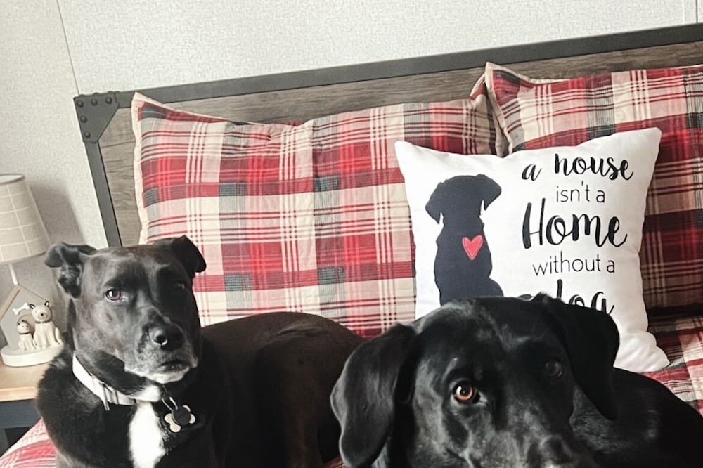 Dog Friendly Cottage minutes from the Beach and Redwoods