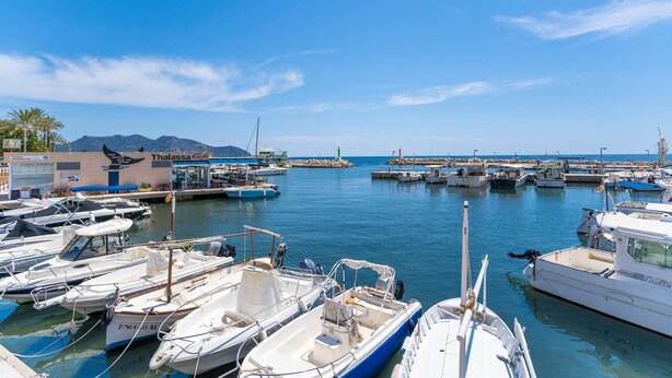 Un port de plaisance avec des bateaux amarrés, un bâtiment sur lequel on peut lire l’inscription « Thalassa », et un ciel bleu dégagé.