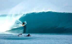 Surfers ride the waves at this oceanfront location.