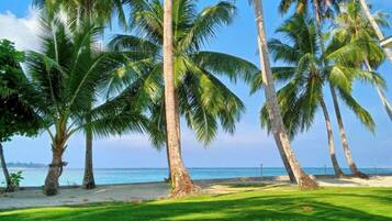 Plage, chaises longues